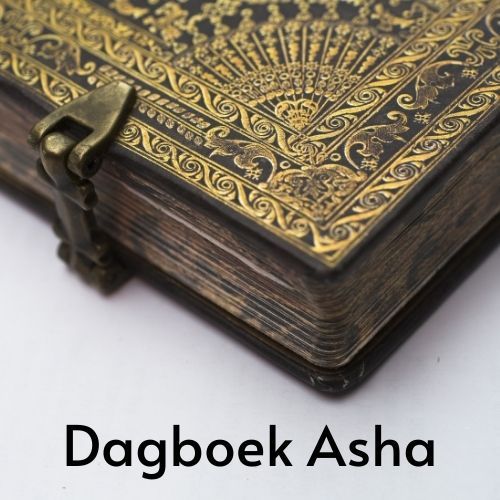 Stadsspel - Wyck - dagboek
